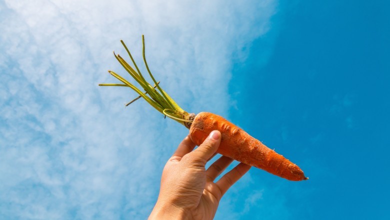 What are the benefits of Carrot ?