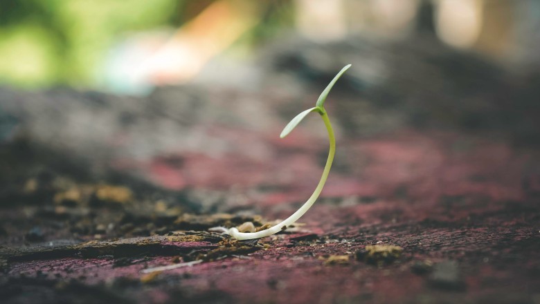 How can I save environment?